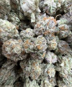 purple punch strain​