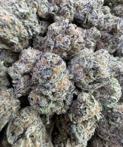 blueberry pancake strain​